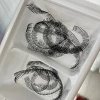 مژه کاشت هیدن
