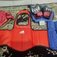 وسایل رزمی ووشو