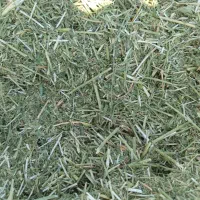یونجه چین سه
