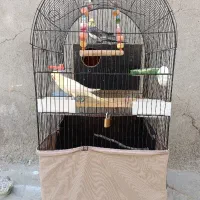 خاش