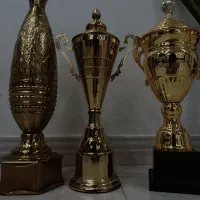 کاپ قهرمانی برنجی