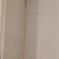 گجکار حرفه ای