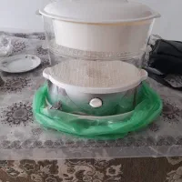 بخار پز المانی