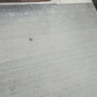 موکت پشمی|موکت|زاهدان, |دیوار