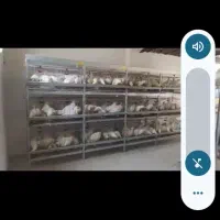 قفس مرغ تخم گذار بفروش میرسد