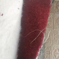 دو رنگ موکت پلاز