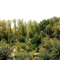 فروش-دو-خواب-ویو-باغ-قدوسی
