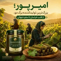کار خانه بسته بندی برگ انگور امیرپور