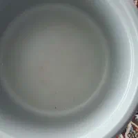 پلو پز و زود پز برقی