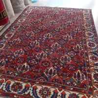 یک جفت ۶ دستباف بختیاری خشتی  گوشت دار و سالم