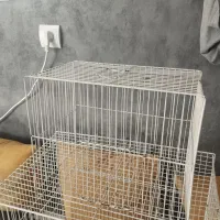 قفس پرنده