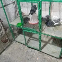 قفس آهنی دوطبقه