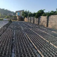 فروشگاه مصالح ساختمانی