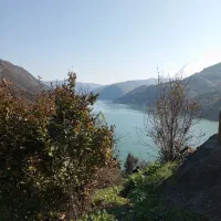 باغچه