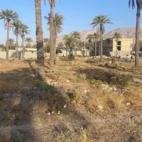 مشاور املاک + خدمات مهندسی ساختمان