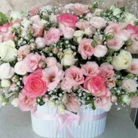 گل رز و باکس گل