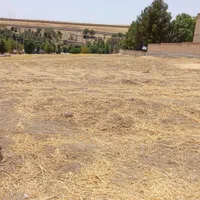 فروش زمین ۱ هکتار