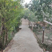 باغ پسته
