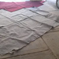 موکت|موکت|سهند, |دیوار