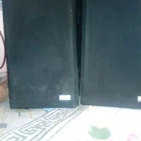باند پایونیر خانگی