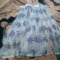 دو عددپرده و گلیم و پادری