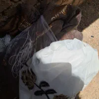 پرده باکتیبه ولایه روپرده