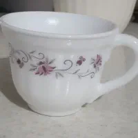 فنجان ارکوپال