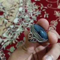شجر|کلکسیون و سرگرمی|دزفول, |دیوار