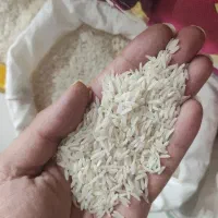 برنج ایرانی طارم محلی ۱۰ کیلویی
