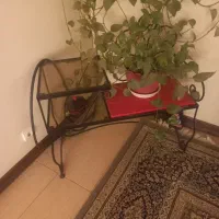 میر تلفن
