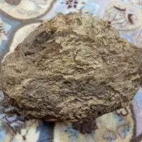 جواهر اسمانی