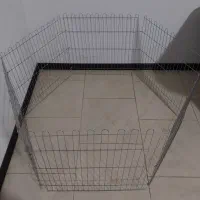 پارک سگ