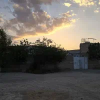 فروش-اصطبل-و-باشگاه-سوارکاری