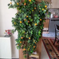 درخت مصنوعی مرکبات میوه یافا