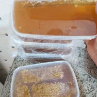 عسل