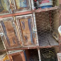 قفس جفتگاهی