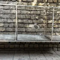 فروش فوری قفس بزرگ وجادار