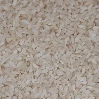 برنج چمپا