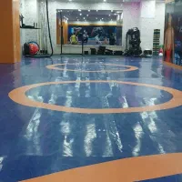 استخدام مربی ژیمناستیک ،مربی کشتی آلیش بانوان