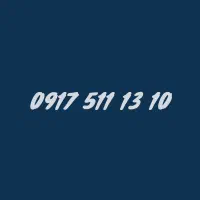 09175111310