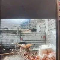 اوستا