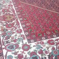 یک جفت فرش ۱۲ متری