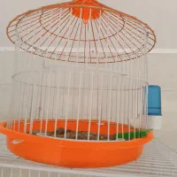 سیره خاکی