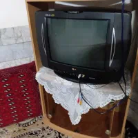 تلویزیون