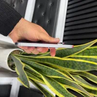 گوشی s23fe|موبایل|سیرجان, |دیوار