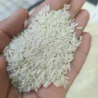 پخش برنج ایرانی معطر در شهر سهند