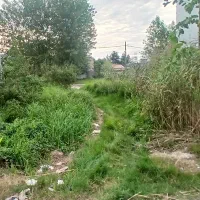 فروش-زمین-204-متری-در-طالب-آباد-منتطه-آزاد-انزلی
