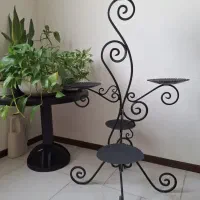 استند گل|گل و گیاه طبیعی|پردیس, فاز ۱۱|دیوار