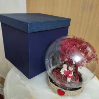 گوی و جعبه کادو