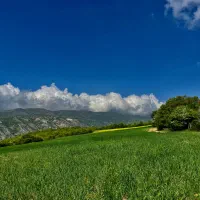 زمین کشاورزی ۱۸هزارمترهزارجریب گلوگاه